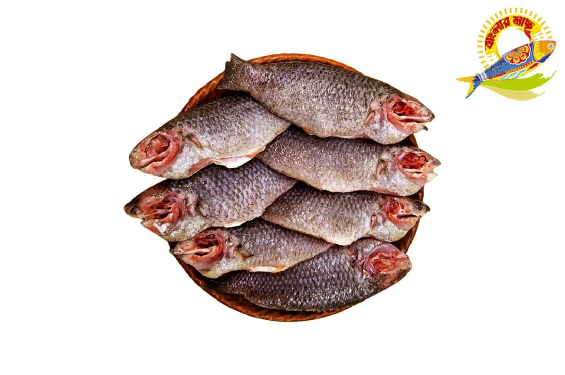 Clean Koi (8-12) Pcs/Kg — Fish & Seafood