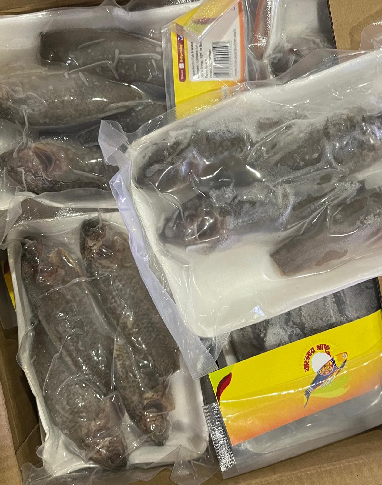 Koi Clean (10-12pcs/Kg) — Fish & Seafood