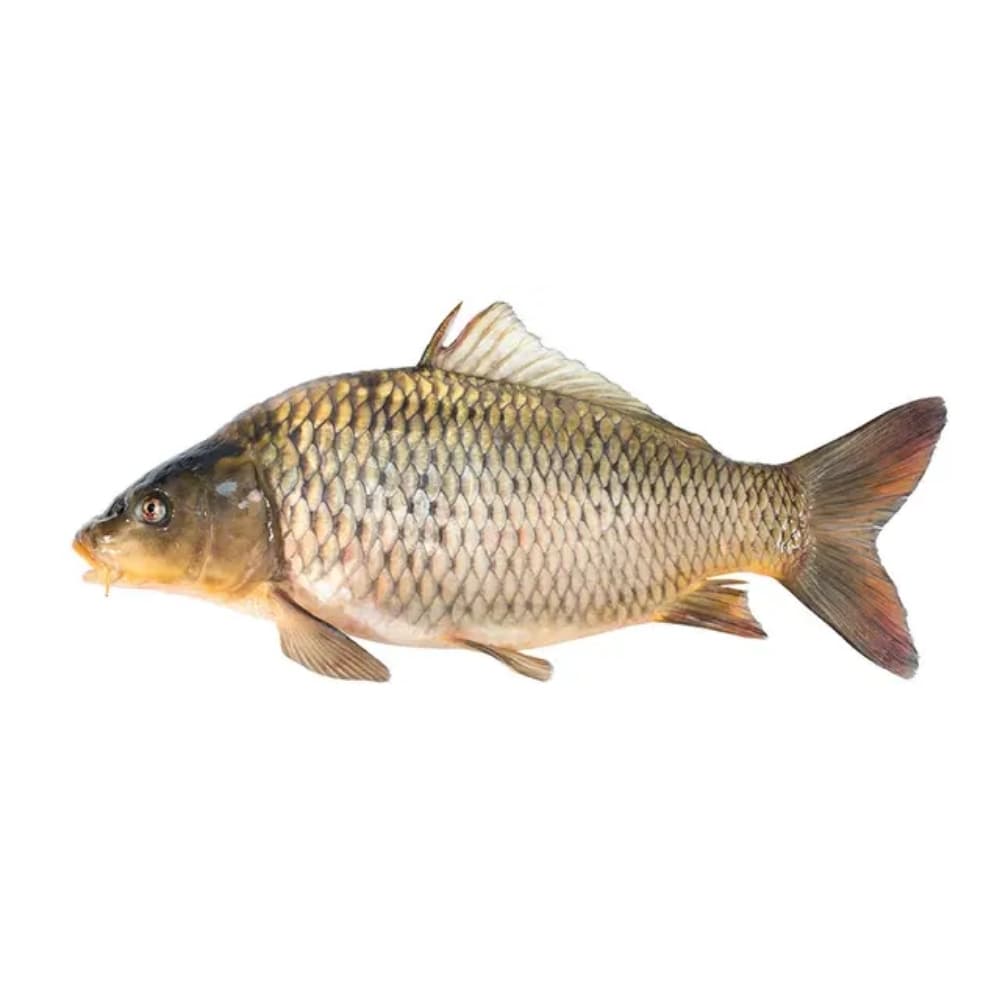 Carfu Fish Banglar Maach — Fish & Seafood