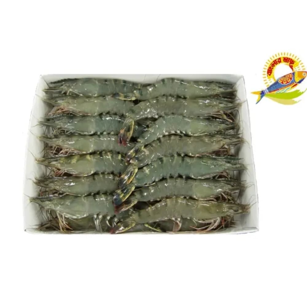 Golda Chingri - Shrimp (20-30) Pcs/Kg — Fish & Seafood