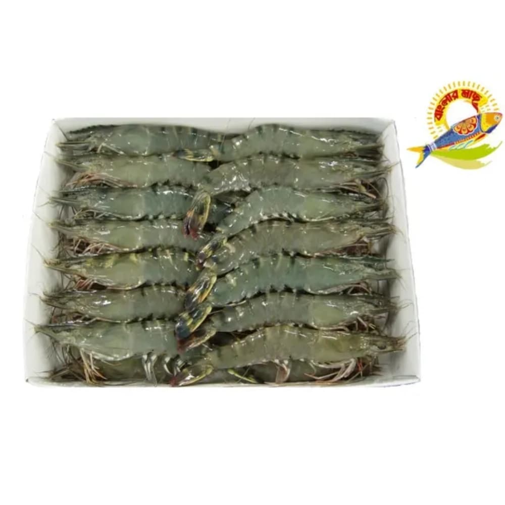 Golda Chingri - Shrimp (20-30) Pcs/Kg - 20-30 Pcs/Kg — Fish