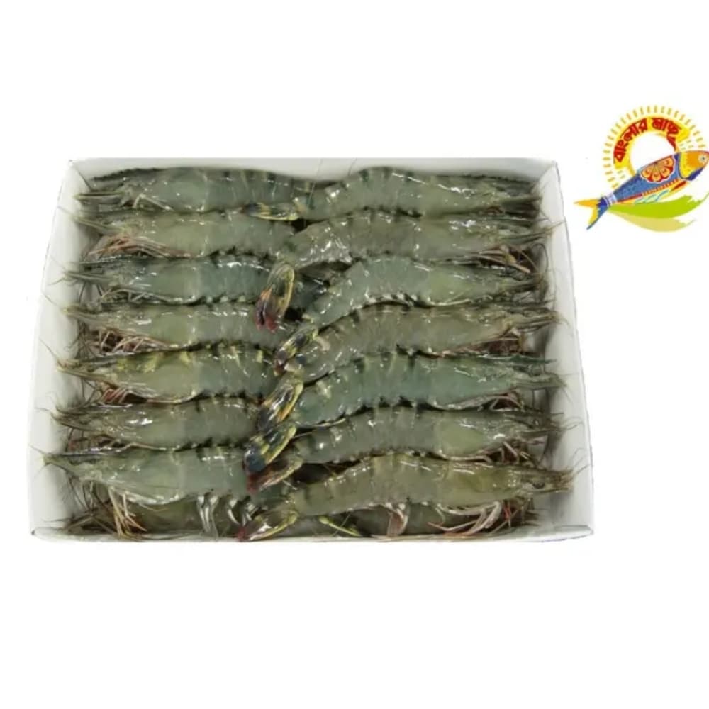 Golda Chingri - Shrimp (20-30) Pcs/Kg - 30-40 Pcs/Kg — Fish