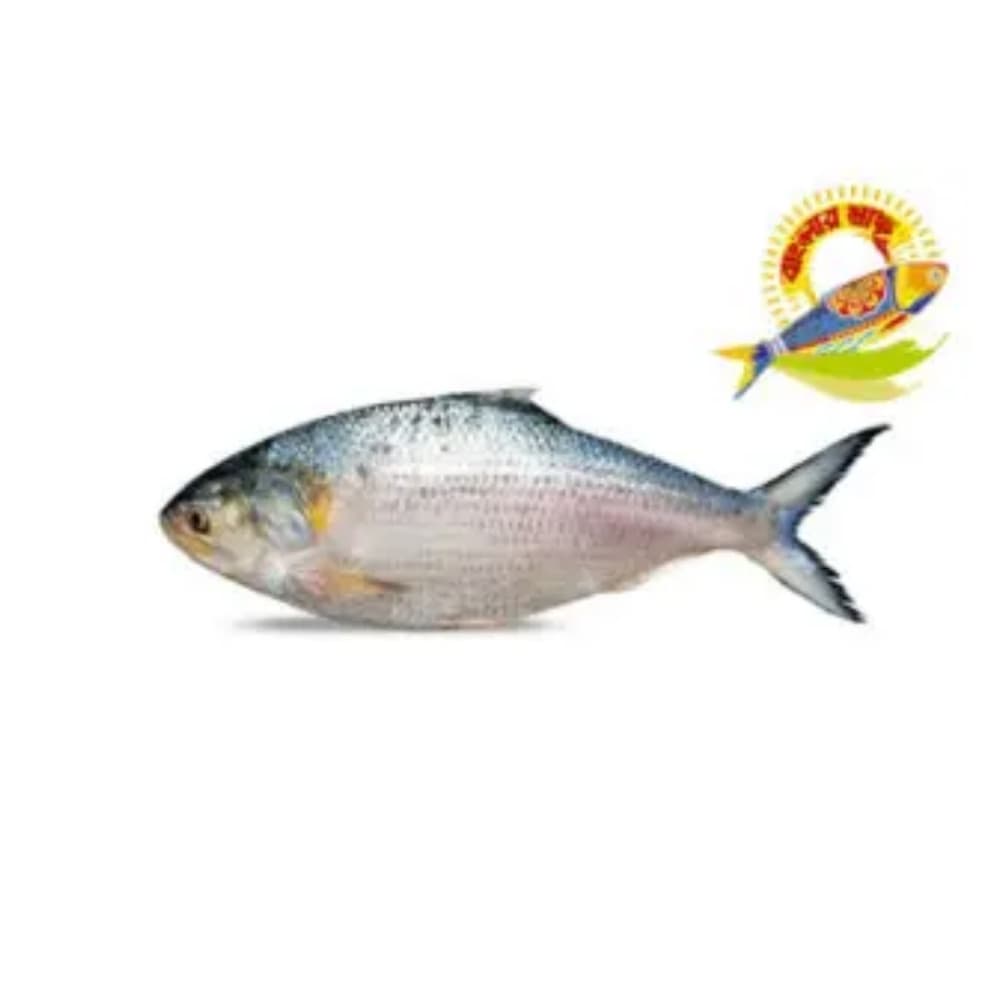 Hilsha 12-15 — Fish & Seafood