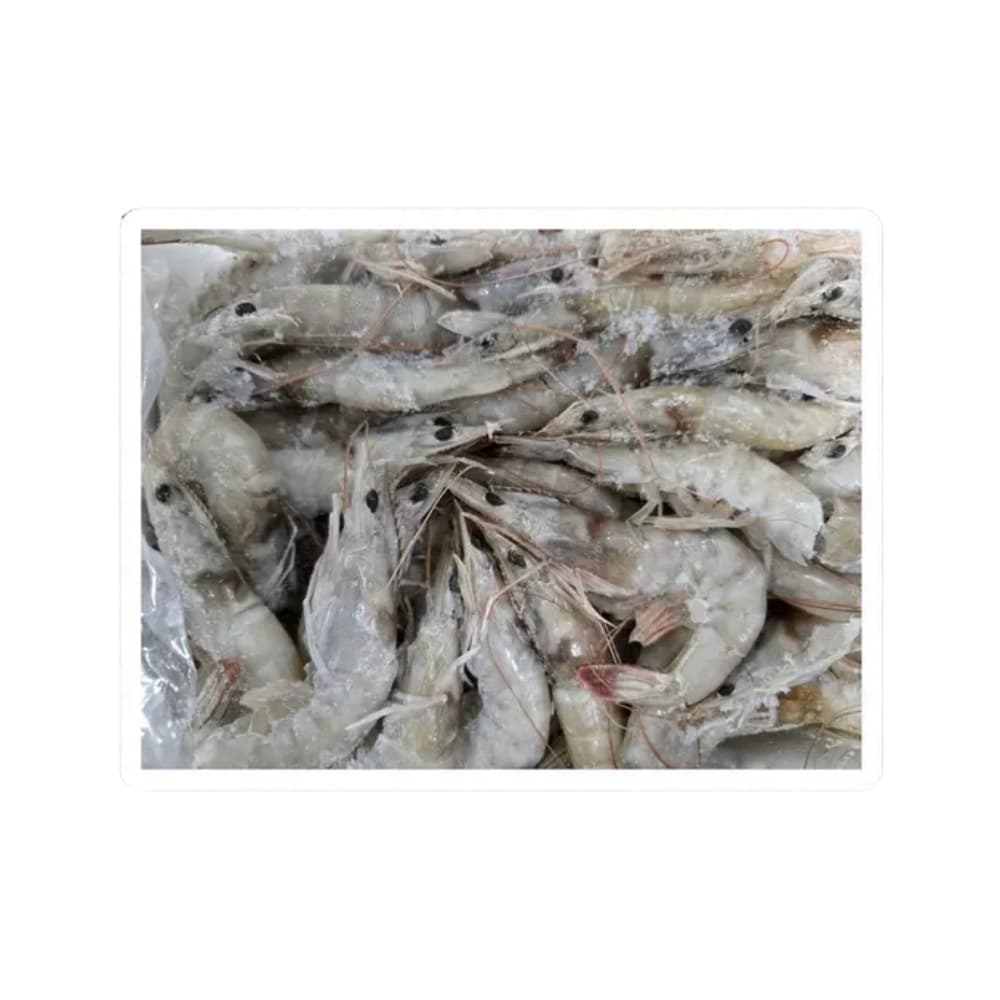 Shrimp 800/100 Head On -B&C — Fish